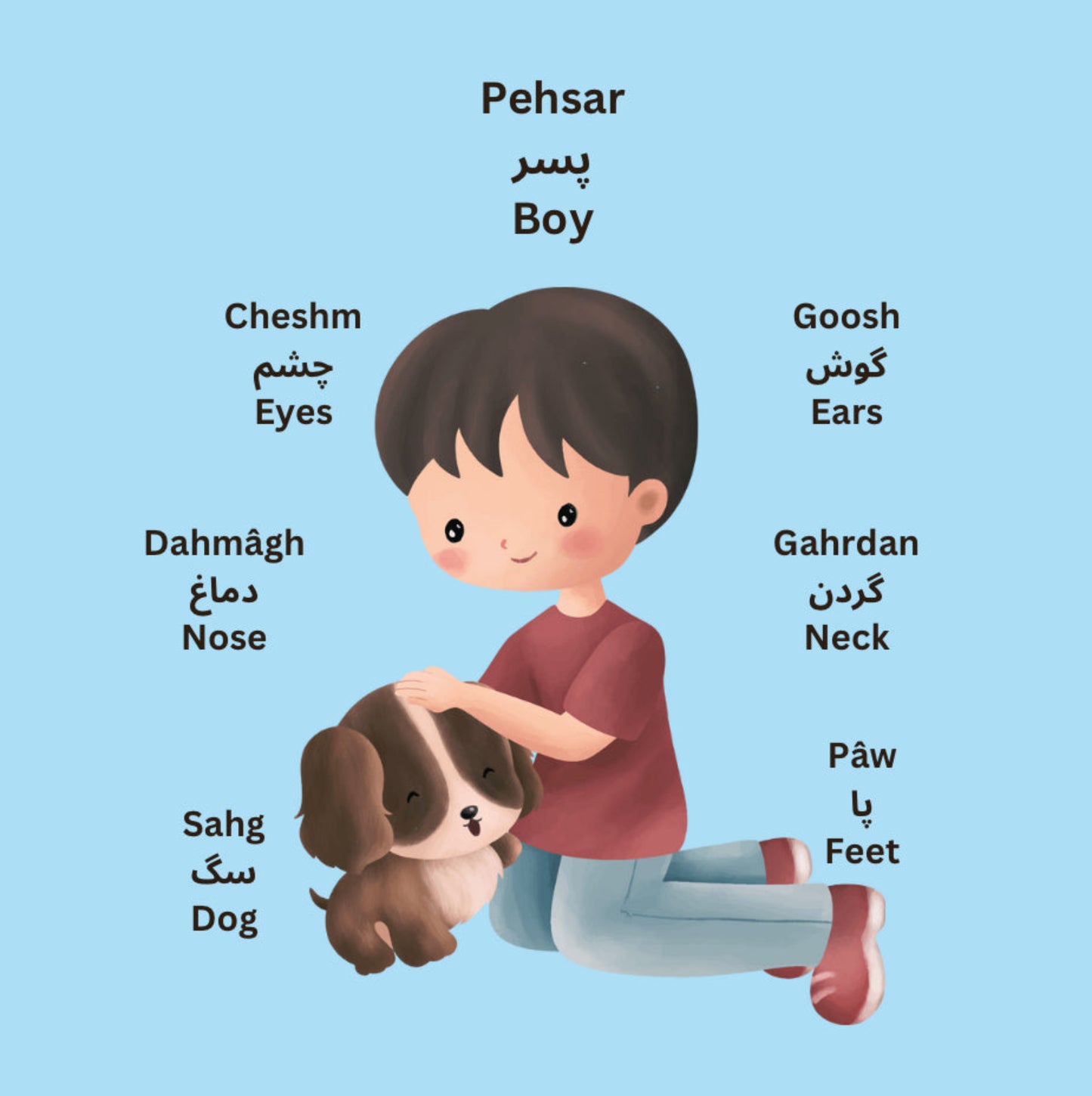 My First 101 Words in Farsi & English