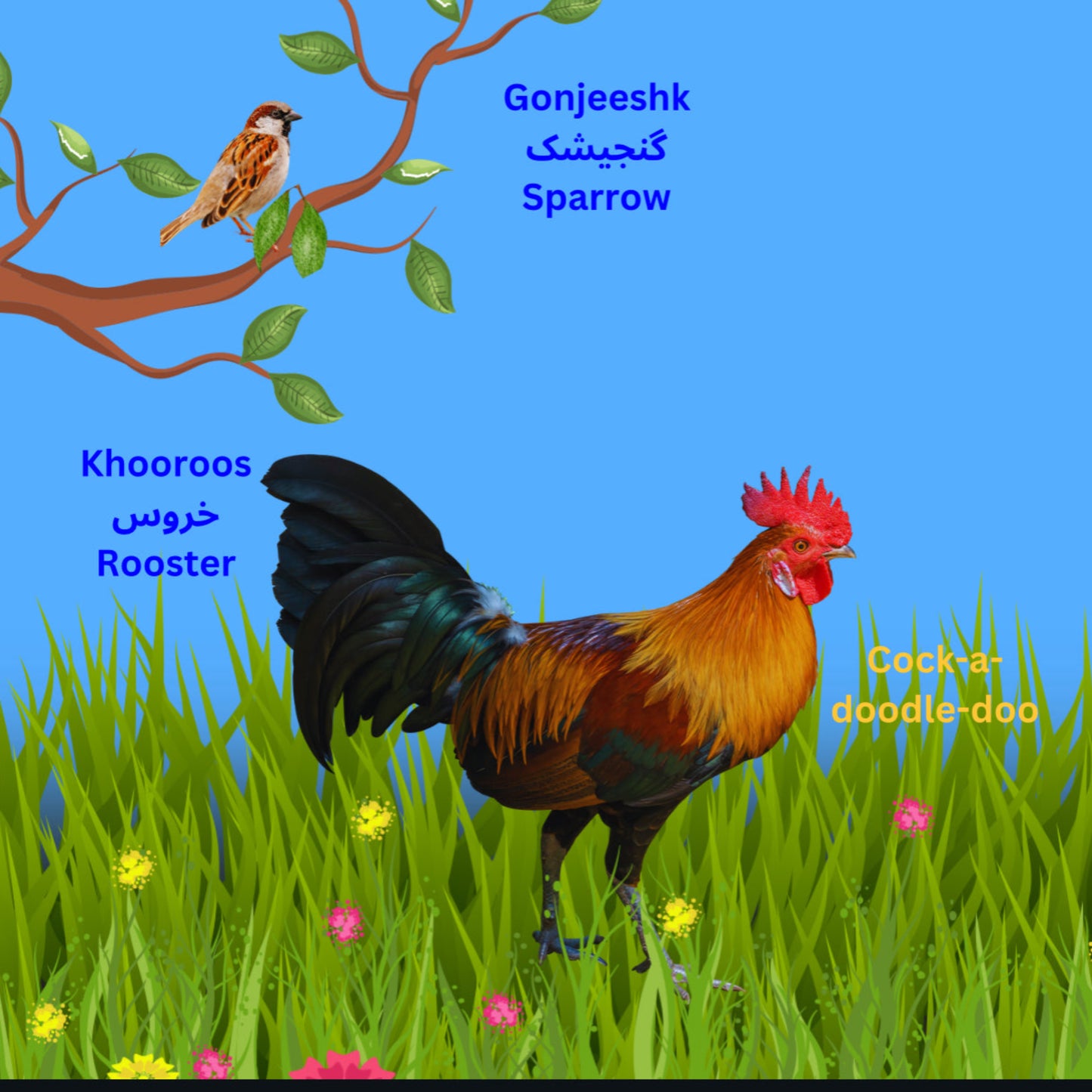 My First Book of Animals in Farsi & English