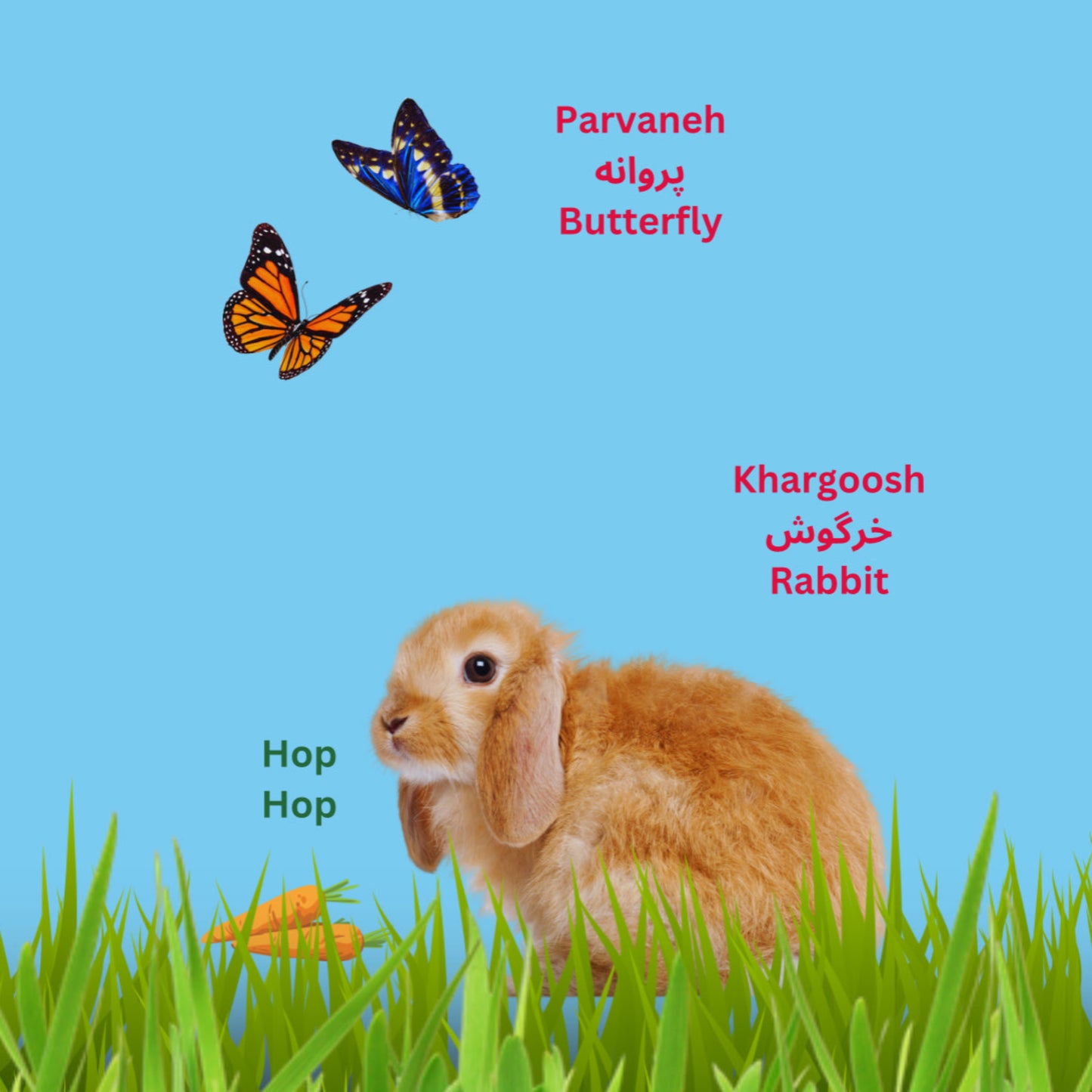 My First Book of Animals in Farsi & English