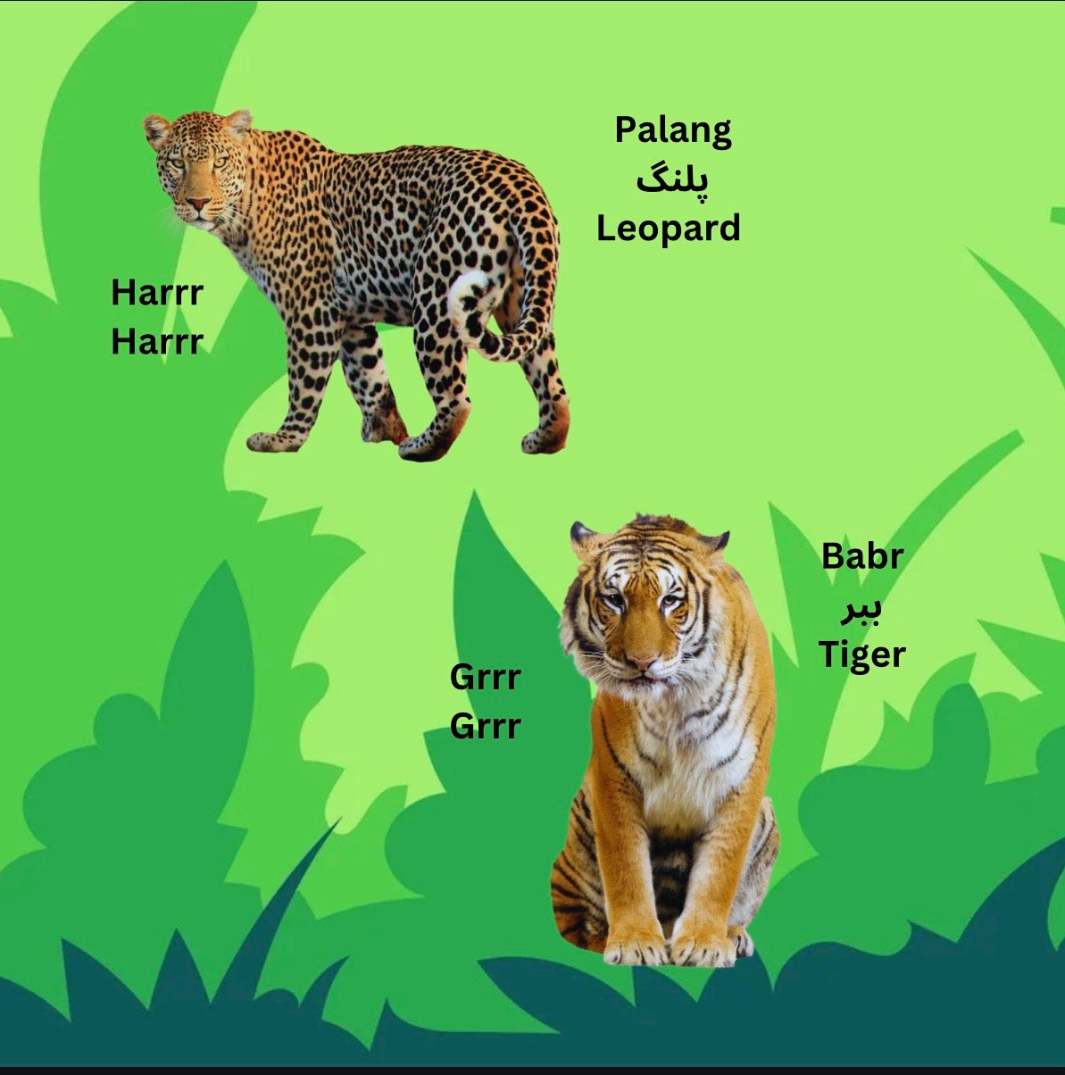 My First Book of Animals in Farsi & English