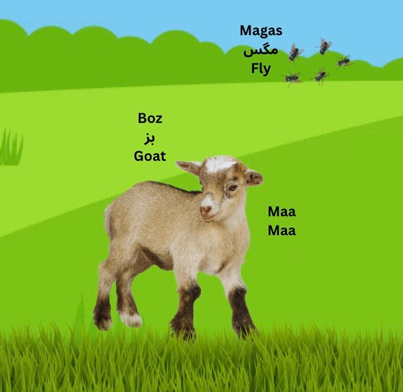 My First Book of Animals in Farsi & English